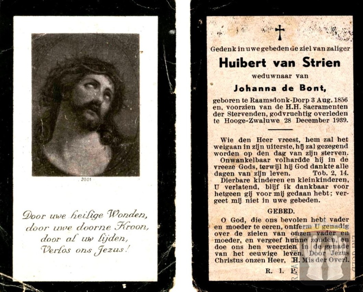 strien.van.h. 1856-1939 bont.de.j. a.b.